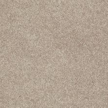 Shaw Floors Value Collections Newbern Classic 12′ Net Plaster 55752_E9198
