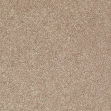 Shaw Floors Value Collections Newbern Classic 12′ Net Dusty Trail 55793_E9198