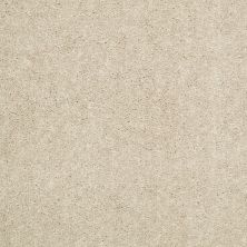 Shaw Floors Value Collections Newbern Classic 15′ Net Casual Cream 00230_E9199