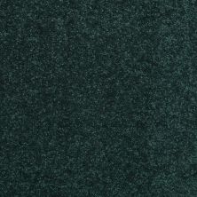 Shaw Floors Value Collections Newbern Classic 15′ Net Polo 55301_E9199