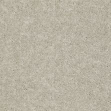 Shaw Floors Value Collections Newbern Classic 15′ Net Dove 55700_E9199