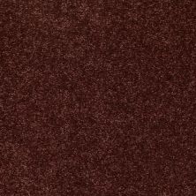 Shaw Floors Value Collections Newbern Classic 15′ Net Coffee 55755_E9199