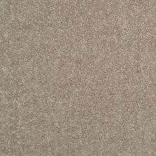 Shaw Floors Value Collections Newbern Classic 15′ Net Taupe Mist 55792_E9199