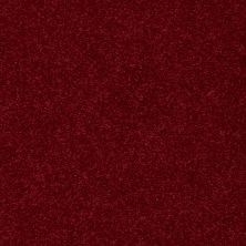 Shaw Floors Value Collections Newbern Classic 15′ Net Crimson 55803_E9199