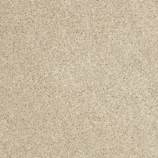 Shaw Floors Value Collections Picturesque Net Dunes