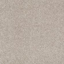 Shaw Floors Value Collections Picturesque Net Mist