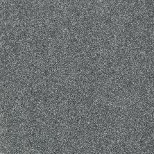 Shaw Floors Value Collections Picturesque Net Azure