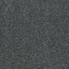 Shaw Floors Value Collections Picturesque Net Cape Verde