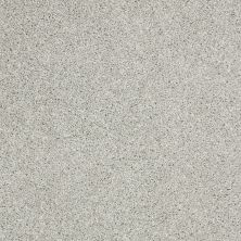 Shaw Floors Value Collections Picturesque Net Sea Salt