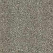 Shaw Floors Value Collections Picturesque Net Pewter