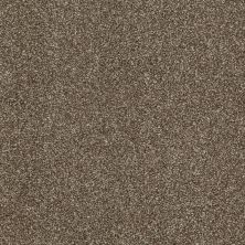 Shaw Floors Value Collections Picturesque Net Townhouse