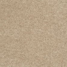 Shaw Floors Value Collections Fielder's Choice 12 Net Adobe