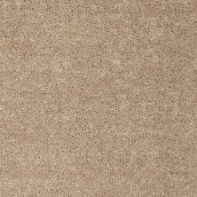 Shaw Floors Value Collections Fielder's Choice 12 Net Wild Dune