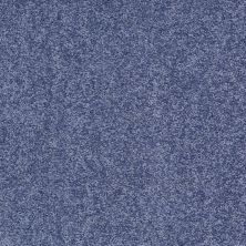 Shaw Floors Value Collections Fielder's Choice 12 Net Castaway