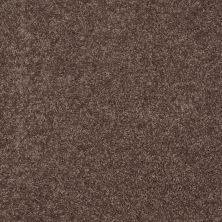 Shaw Floors Value Collections Fielder's Choice 12 Net Molasses