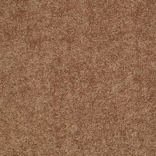 Shaw Floors Value Collections Fielder's Choice 12 Net Desert Sunrise