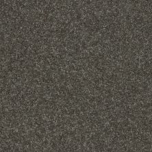 Shaw Floors Value Collections Fielder's Choice 12 Net Barn Beam