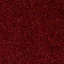 Shaw Floors Value Collections Fielder's Choice 12 Net Red Wine