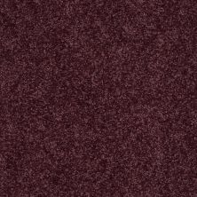 Shaw Floors Value Collections Fielder's Choice 12 Net Royal Purple