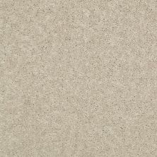 Shaw Floors Value Collections Dyersburg Classic 12 Net Sand Dollar 00116_E9206