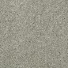 Shaw Floors Value Collections Dyersburg Classic 12 Net Pebble Path 00132_E9206