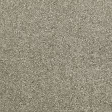 Shaw Floors Value Collections Dyersburg Classic 12 Net Suede 00731_E9206