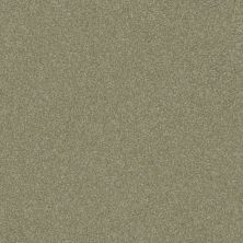 Shaw Floors Foundations Luxuriant Silver Sage 00360_E9253