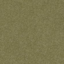 Shaw Floors Foundations Prestigious Sea Grass 00361_E9255