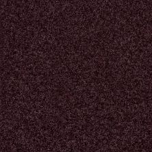 Shaw Floors Foundations Prestigious Passionate Plum 00962_E9255