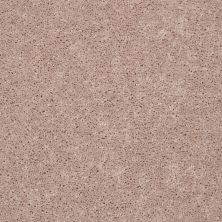 Shaw Floors Value Collections Full Court 15′ Net Flax Seed 00103_E9270