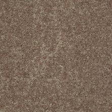 Shaw Floors Value Collections Full Court 15′ Net Hearth Stone 00700_E9270