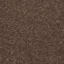 Shaw Floors Value Collections Full Court 15′ Net Cattail 00702_E9270