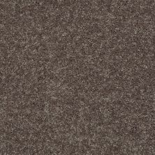Shaw Floors Value Collections Full Court 15′ Net Driftwood 00703_E9270