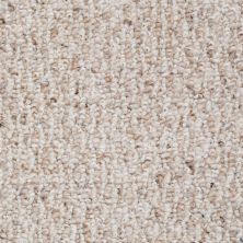 Shaw Floors Value Collections Rivershed 12' Net Classic Buff