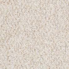 Shaw Floors Value Collections Rivershed 12' Net Bran Flakes