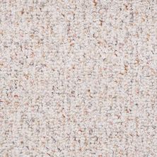 Shaw Floors Value Collections Pure Waters 12′ Net Clam Shell 00102_E9279