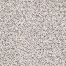 Shaw Floors Value Collections Pure Waters 12′ Net Timeless Neutral 00103_E9279