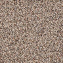 Shaw Floors Value Collections Pure Waters 12′ Net Moonlight Path 00201_E9279