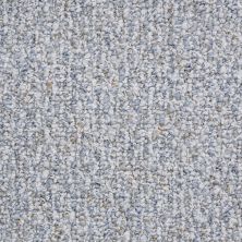 Shaw Floors Value Collections Pure Waters 12′ Net Clear Pool 00400_E9279