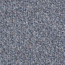 Shaw Floors Value Collections Pure Waters 12′ Net Sapphire Shimmer 00401_E9279