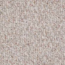 Shaw Floors Value Collections Pure Waters 12′ Net Crumb Cake 00700_E9279