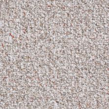 Shaw Floors Value Collections Pure Waters 12′ Net Pebble Path 00701_E9279