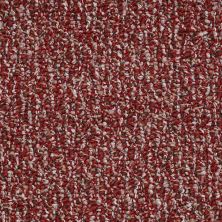 Shaw Floors Value Collections Pure Waters 12′ Net Cherry Grove 00800_E9279