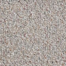 Shaw Floors Value Collections Pure Waters 15′ Net Tweed 00300_E9280