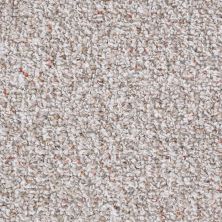 Shaw Floors Value Collections Pure Waters 15′ Net Pebble Path 00701_E9280