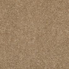 Shaw Floors Value Collections Big Eventplusnet Scalloped Shell