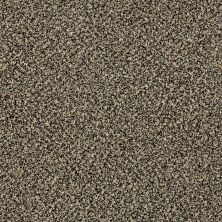 Shaw Floors Value Collections Because We Can II 12′ Net Muffin Top 00200_E9314