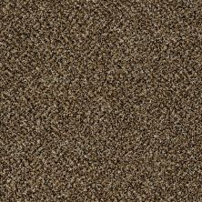 Shaw Floors Value Collections Because We Can II 12′ Net Sandpiper 00201_E9314