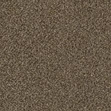 Shaw Floors Value Collections Because We Can II 12′ Net Pinecone 00701_E9314