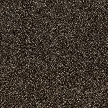Shaw Floors Value Collections Because We Can II 12′ Net River Rock 00702_E9314